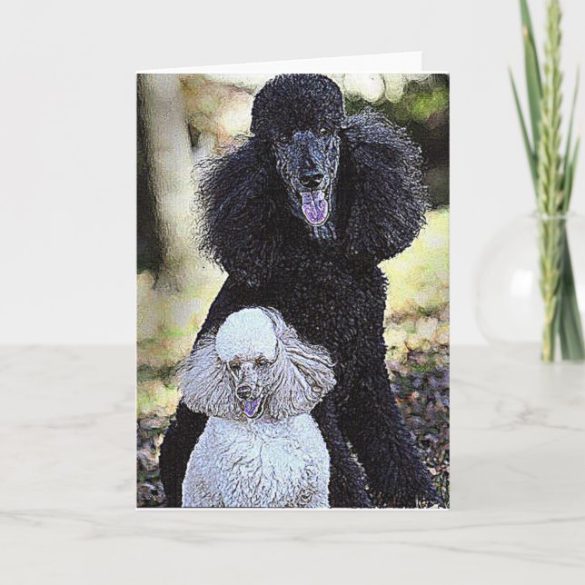 Cartão Chase and Friend (Frente)