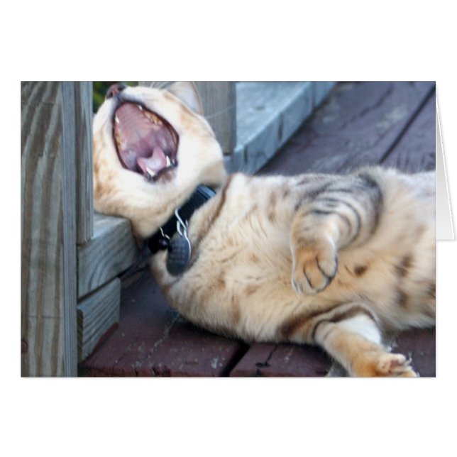 Cartão Chato! (Frente Horizontal)