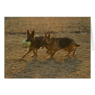 Cartão Chauncey & Abie