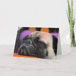 Cartão Cheer-up! Pug Greeting Card