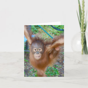 Cartão Cheerleader: Team Orangutan