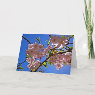 Cartão Cheery Cherry Blossoms Greeting and Note Cards