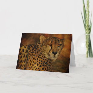 Cartão Cheetah