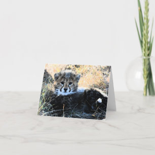 Cartão Cheetah cub customizable note card