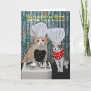 Cartão Chef Engraçado Gata Aniversário