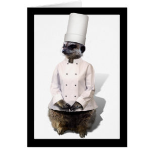 Cartão Chef Meerkat