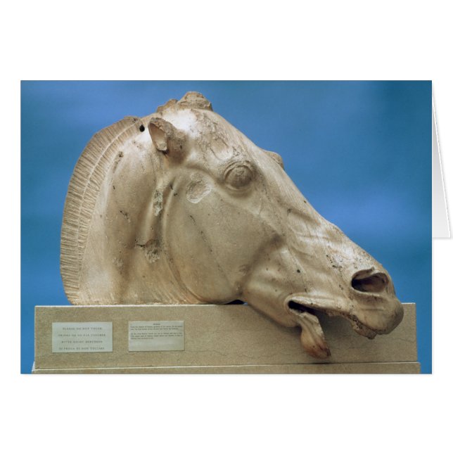 Cartão Chefe de um dos cavalos de Selene (Frente Horizontal)
