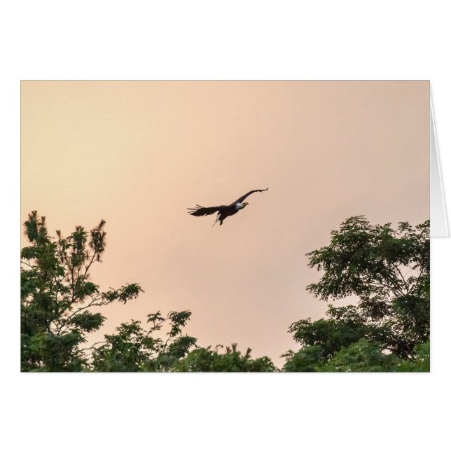 Cartão Chegada à noite (Frente Horizontal)