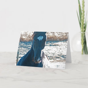 Cartão Chegando em Ya