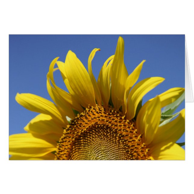 Cartão Cheio (Frente Horizontal)