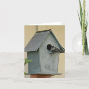 CARTÃO CHEIO BIRDHOUSE VAZIO NOTECARD