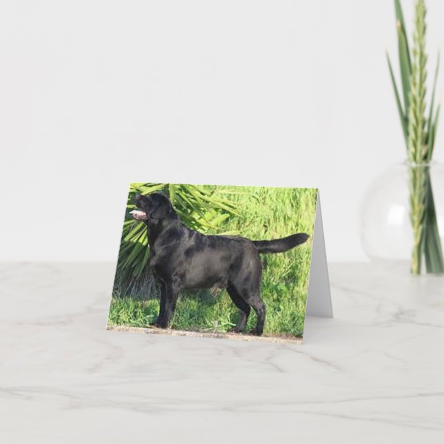 Cartão CHEIO de laboratório preto LR (Frente)