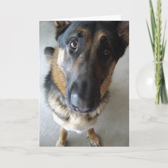 Cartão Cheira-me bolo? Aniversário deseja... (Frente)