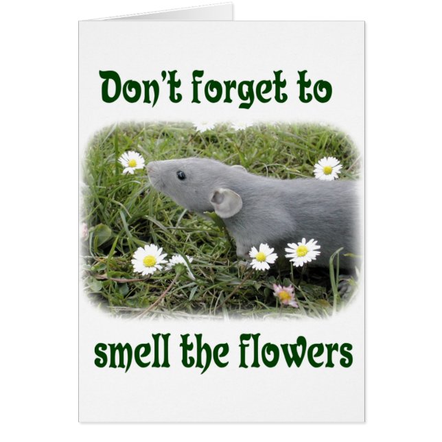 Cartão Cheire as flores (Frente)