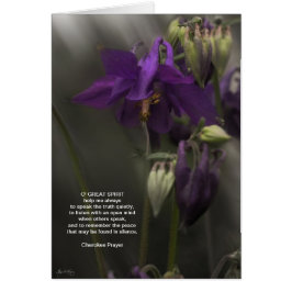 Cartão Cherokee Prayer, Columbine à luz do sol