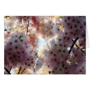 Cartão Cherry Blossom
