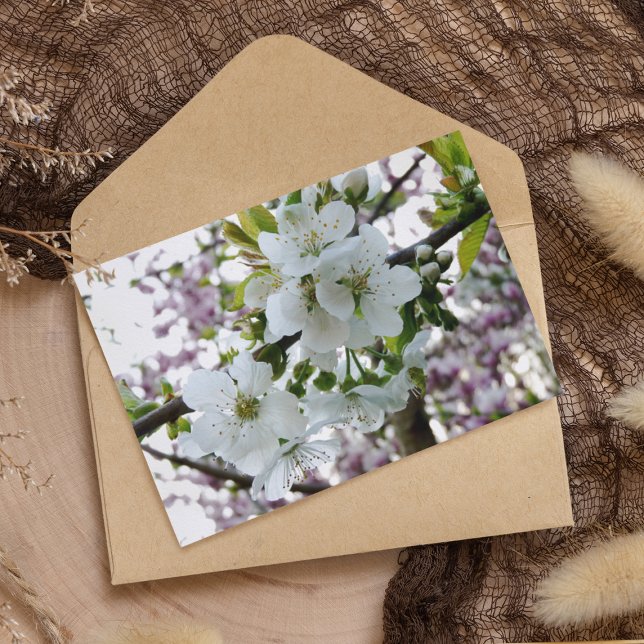 Cartão Cherry Blossom (Criador carregado)