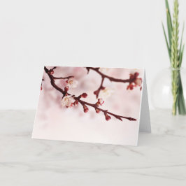 Cartão Cherry Blossom