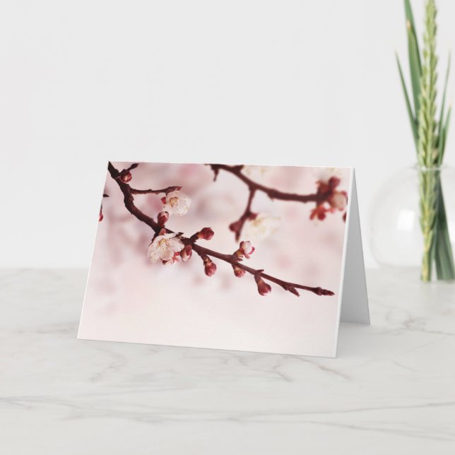 Cartão Cherry Blossom (Frente)