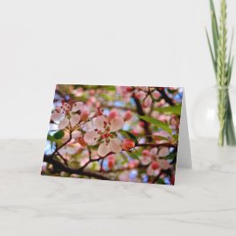 Cartão Cherry Blossom [Cartão de Saudação]