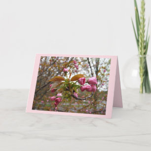 Cartão Cherry Blossom Greeting Card
