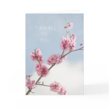 Cherry Blossom in the Sky Thinking of you