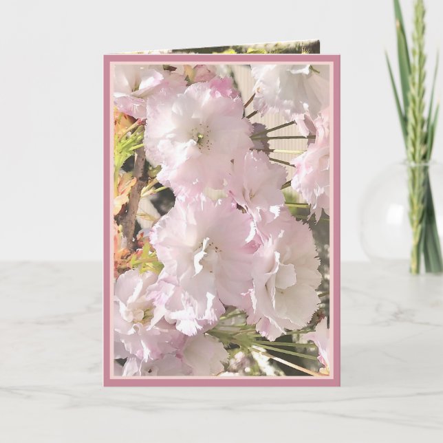 Cartão Cherry Blossom pale pink and white card photo (Frente)