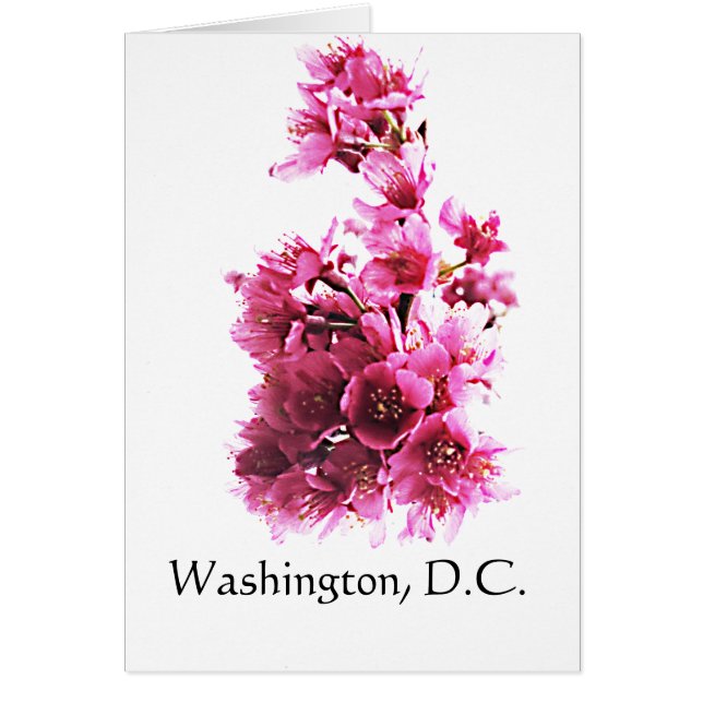 Cartão Cherry floresce em Washington, DC. (Frente)