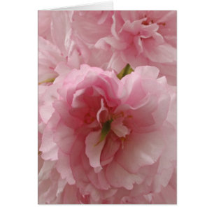 Cartão Cherry Japonês