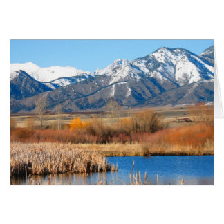 Cartão Cherry River por Cynthia Wenslow