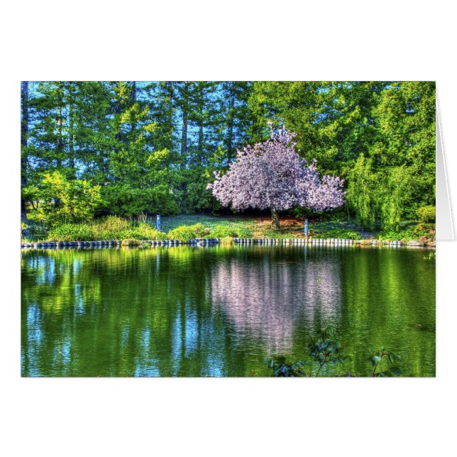 Cartão Cherry Tree (Frente Horizontal)