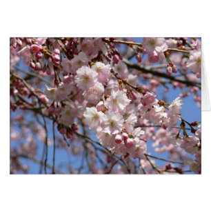 Cartão Cherry Tree