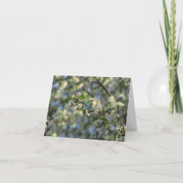 Cartão Cherry Tree in Spring Blank Card #2 02