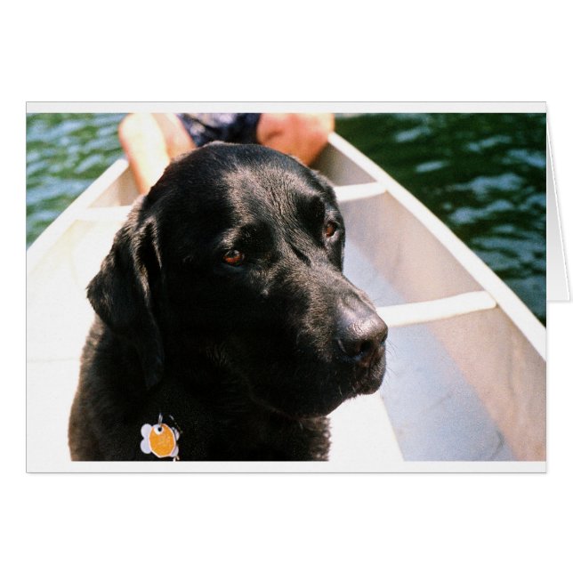 Cartão Chert Dog (Frente Horizontal)