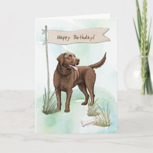 Cartão Chesapeake Bay Retriever Dog Sob Sinal de Aniversá
