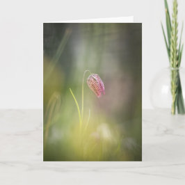 Cartão Chess Flower Nature Photo