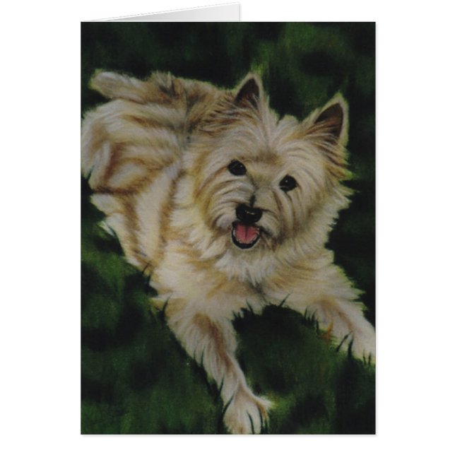 Cartão Chester (Frente)