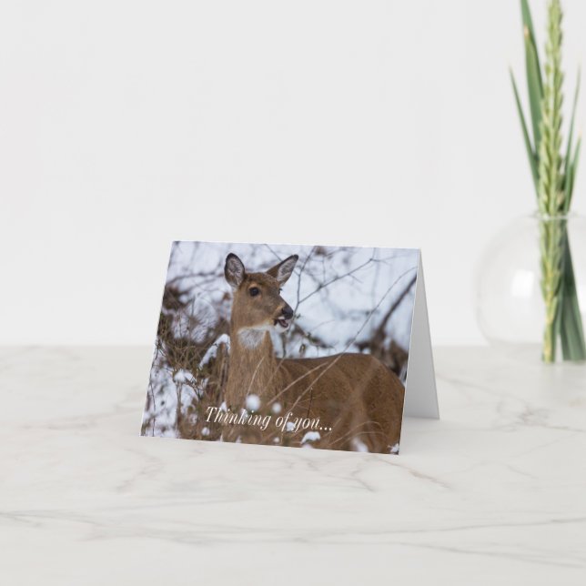 Cartão Chewy Pensando Em Você (Frente)