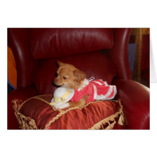 cartão chi de partido