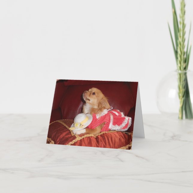 Cartão chi partido (Frente)