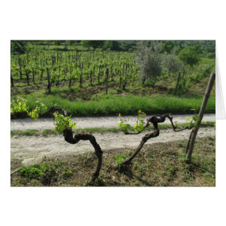 Cartão Chianti Vineyard na região vitícola da Toscana Itá