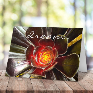 Cartão Chic Black Orange Cactus Succulent Foto "Dream"