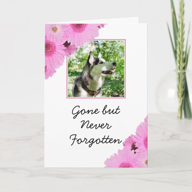 Cartão Chic Pink Flowers Pet Photo Sympathy (Frente)