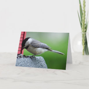Cartão Chickadee