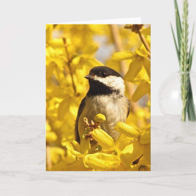 Cartão Chickadee Bird in Yellow Flowers Blank Card (Frente)