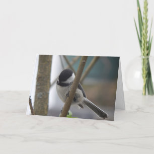 Cartão Chickadee Birthday Card