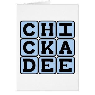 Cartão Chickadee, pássaro norte-americano