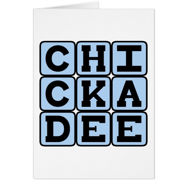 Cartão Chickadee, pássaro norte-americano (Frente)