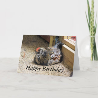 Cartão Chicken Birthday Card