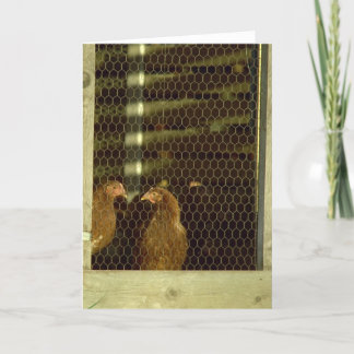 Cartão Chicken Coop Card